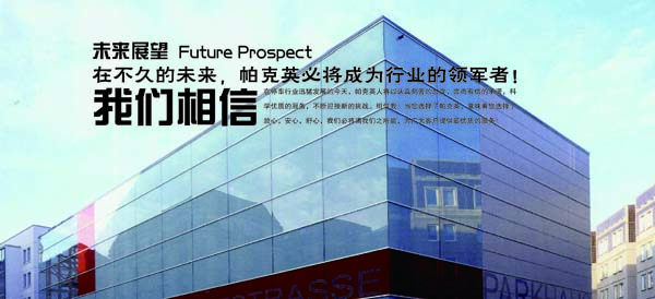 Company-future